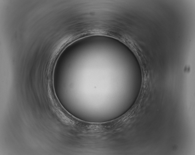 X0000112050145200908041159