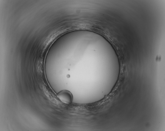 X0000112050146200908041159