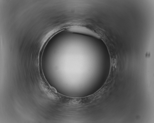 X0000112050148200908041159