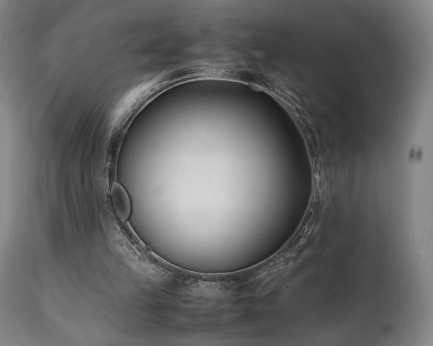 X0000112050149200908041159