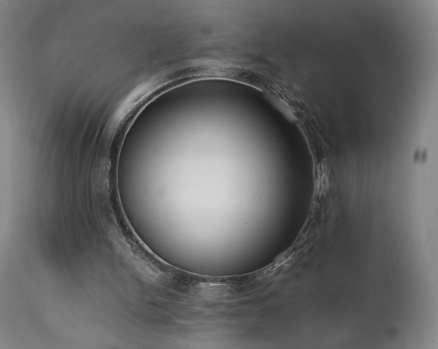 X0000112050150200908041159