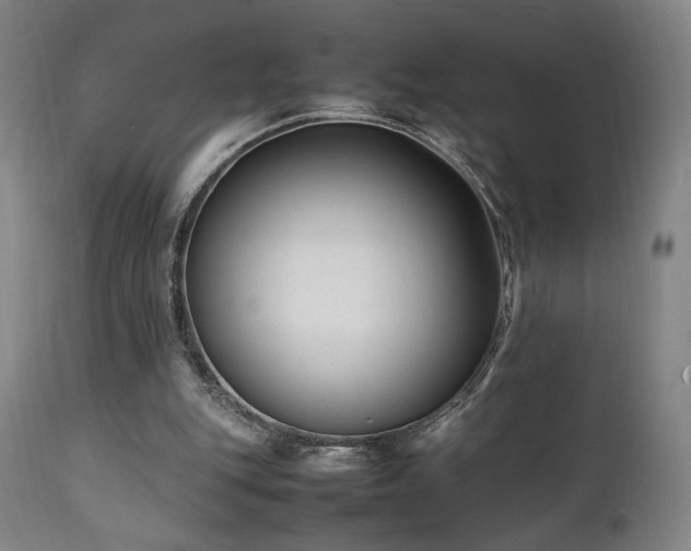 X0000112050151200908041159