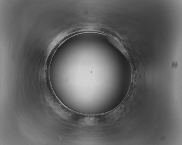 X0000112050152200908041159