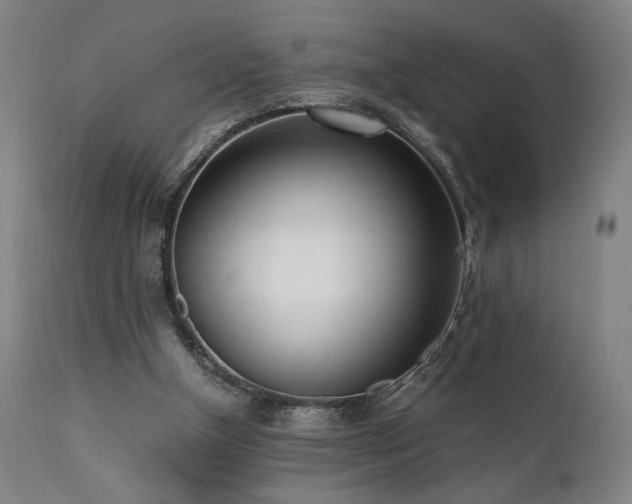 X0000112050154200908041159