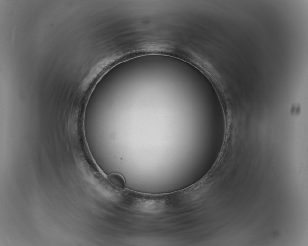 X0000112050155200908041159