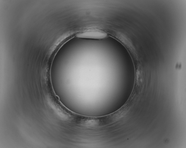 X0000112050156200908041159