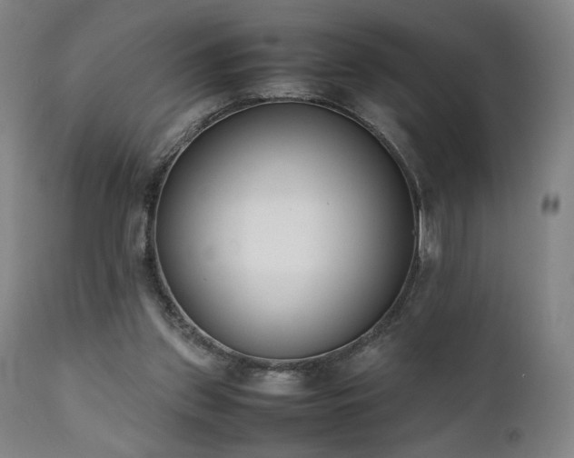 X0000112050157200908041159