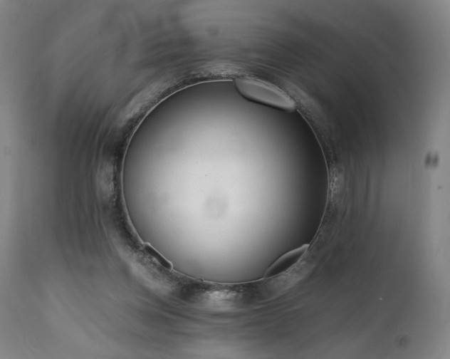 X0000112050158200908041159