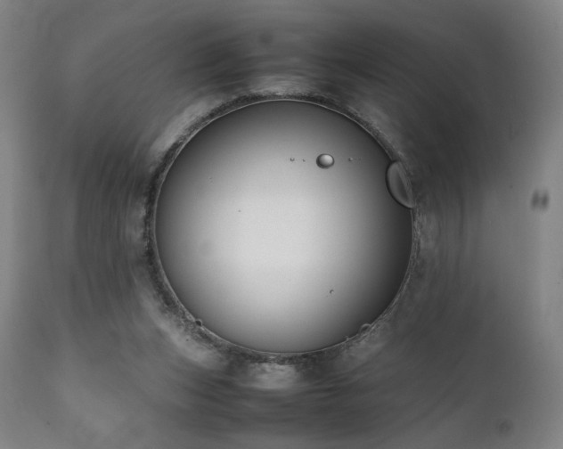 X0000112050159200908041159