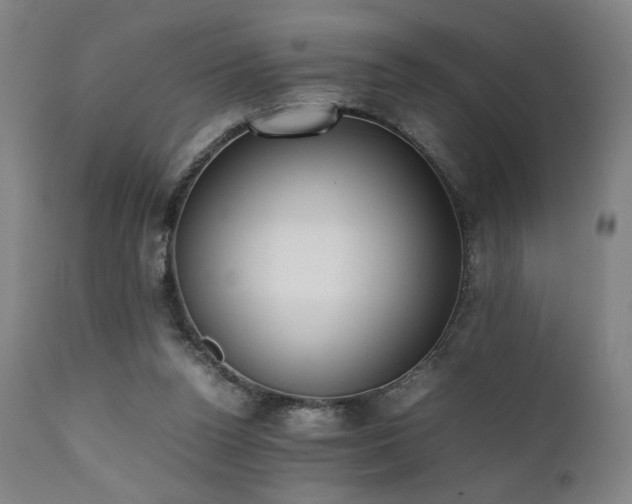 X0000112050160200908041159