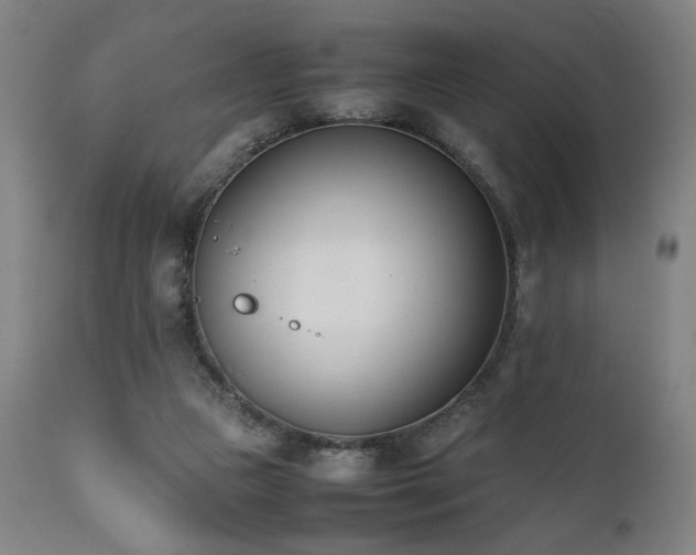 X0000112050161200908041159