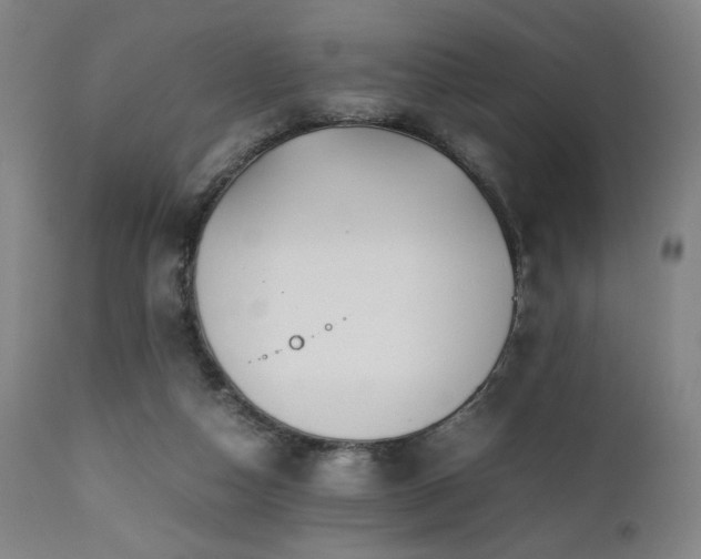 X0000112050162200908041159