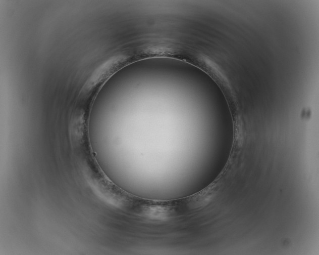 X0000112050163200908041159