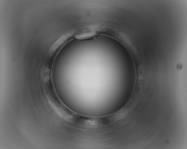 X0000112050164200908041159