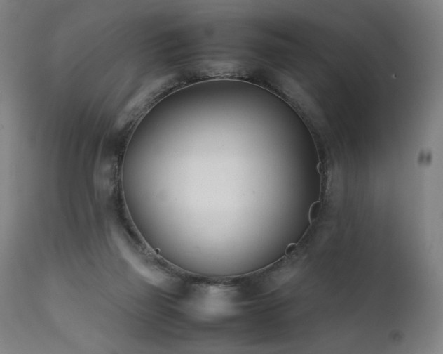 X0000112050165200908041159