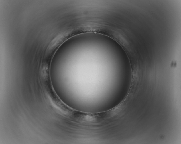 X0000112050166200908041159