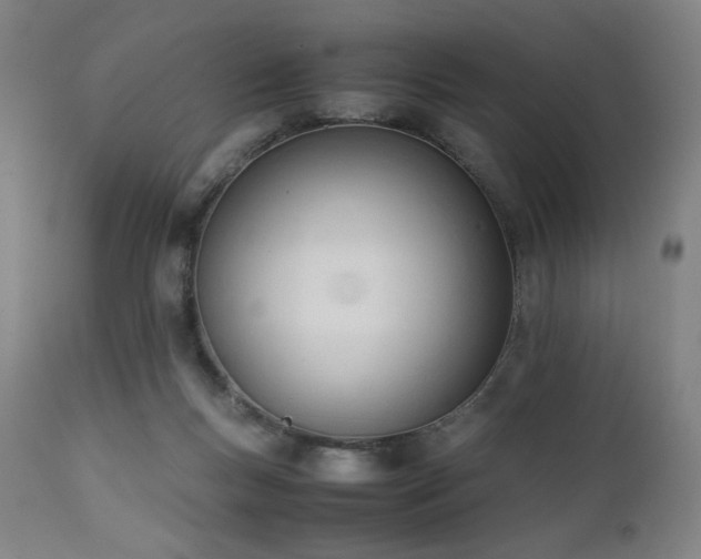 X0000112050167200908041159