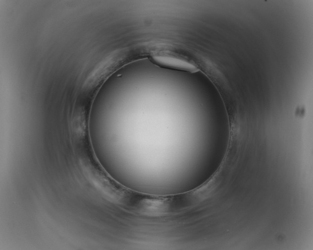 X0000112050170200908041159