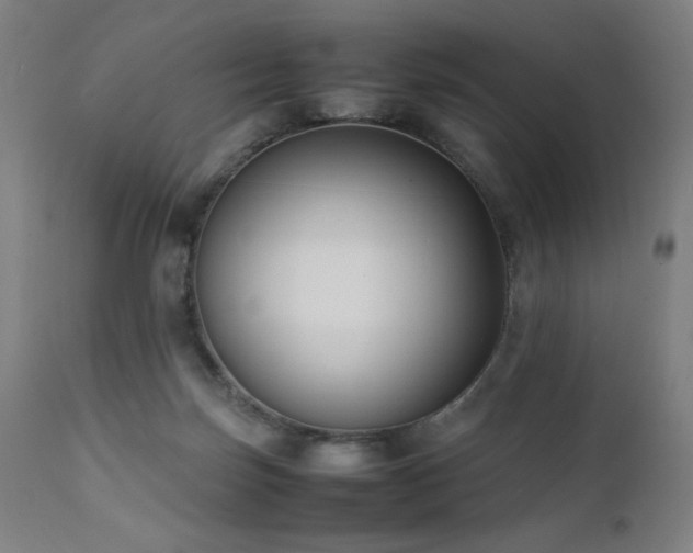 X0000112050171200908041159