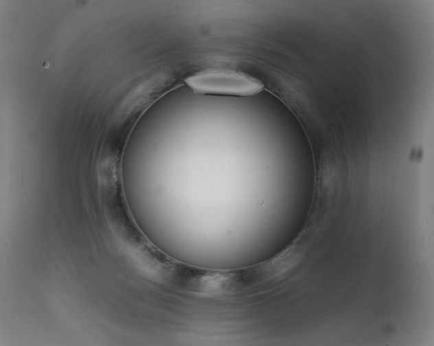 X0000112050172200908041159