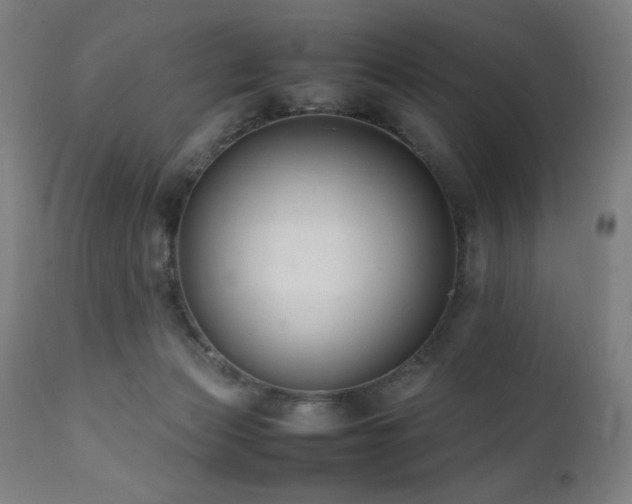 X0000112050173200908041159