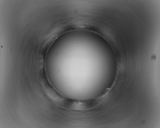 X0000112050174200908041159