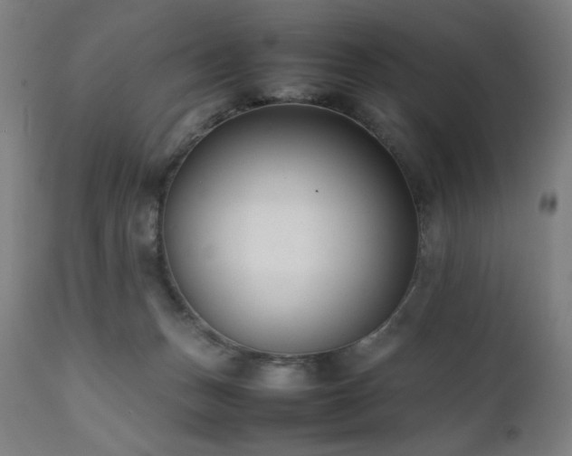 X0000112050175200908041159