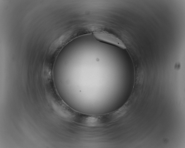 X0000112050176200908041159