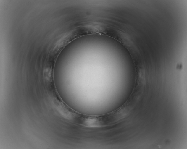 X0000112050177200908041159