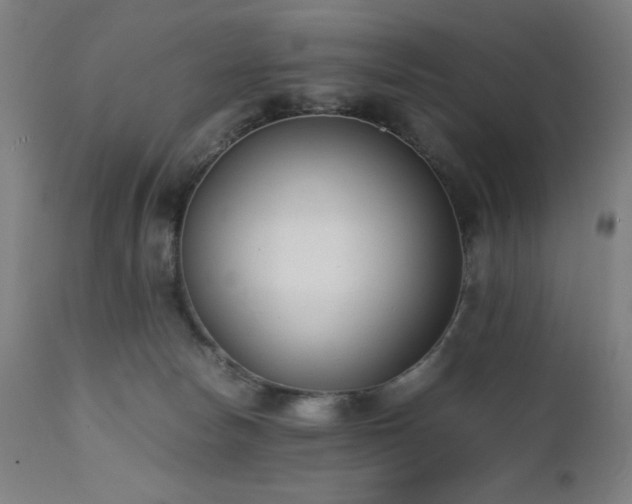 X0000112050178200908041159