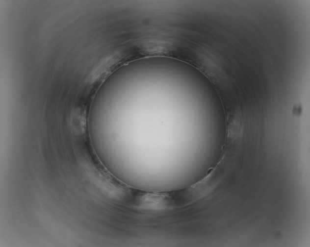 X0000112050179200908041159