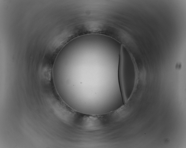 X0000112050180200908041159