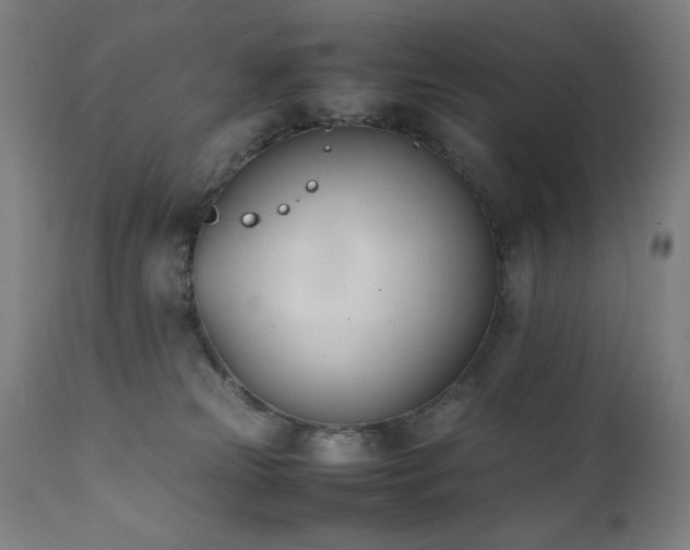 X0000112050181200908041159