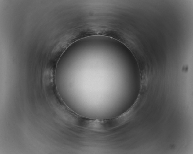 X0000112050182200908041159