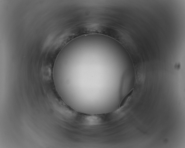 X0000112050183200908041159