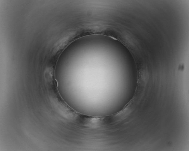 X0000112050184200908041159