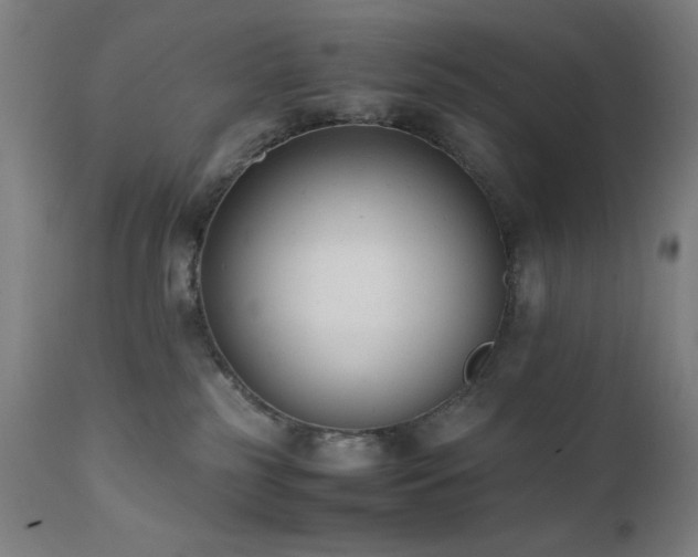 X0000112050185200908041200