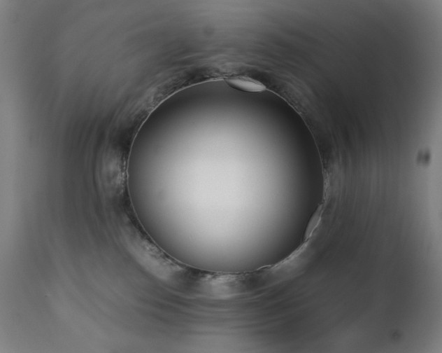 X0000112050186200908041200