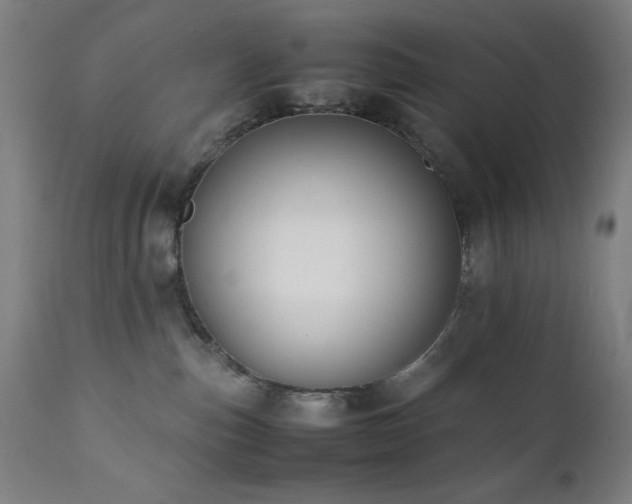 X0000112050187200908041200