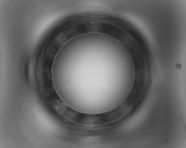 X0000112050189200908041200