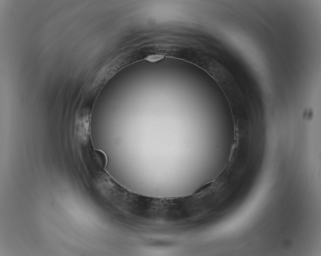 X0000112050190200908041200