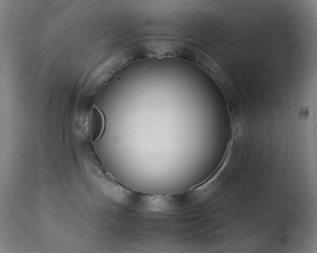 X0000112050191200908041200