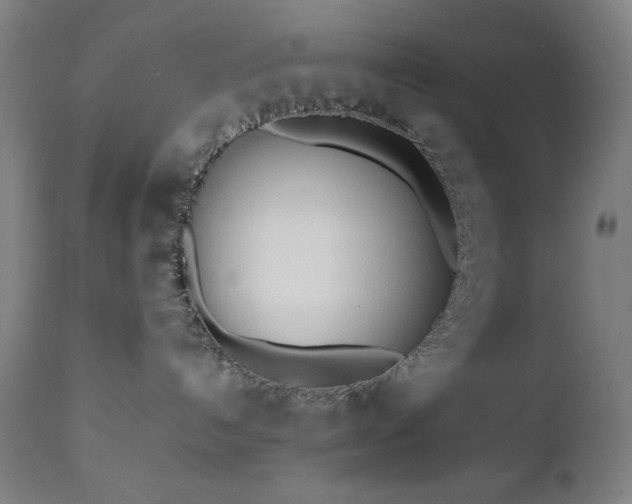 X0000112050192200908041200