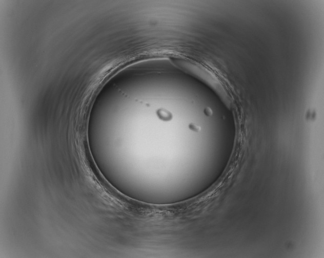 X0000112050193200908041159