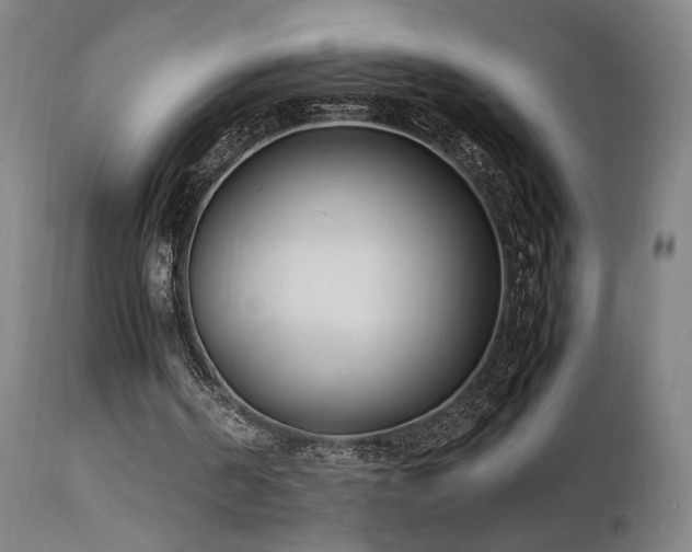 X0000112050194200908041159