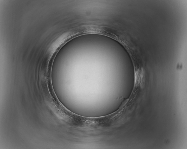 X0000112050195200908041159