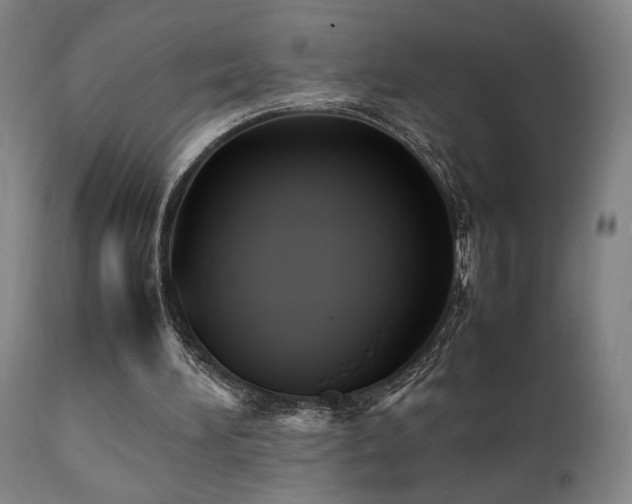 X0000112050196200908041159