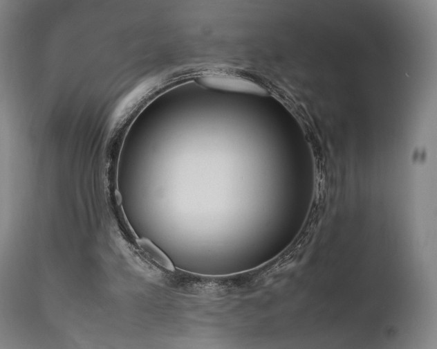 X0000112050197200908041159