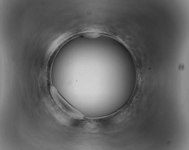 X0000112050199200908041159