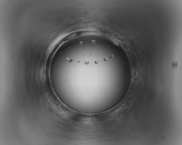 X0000112050200200908041159